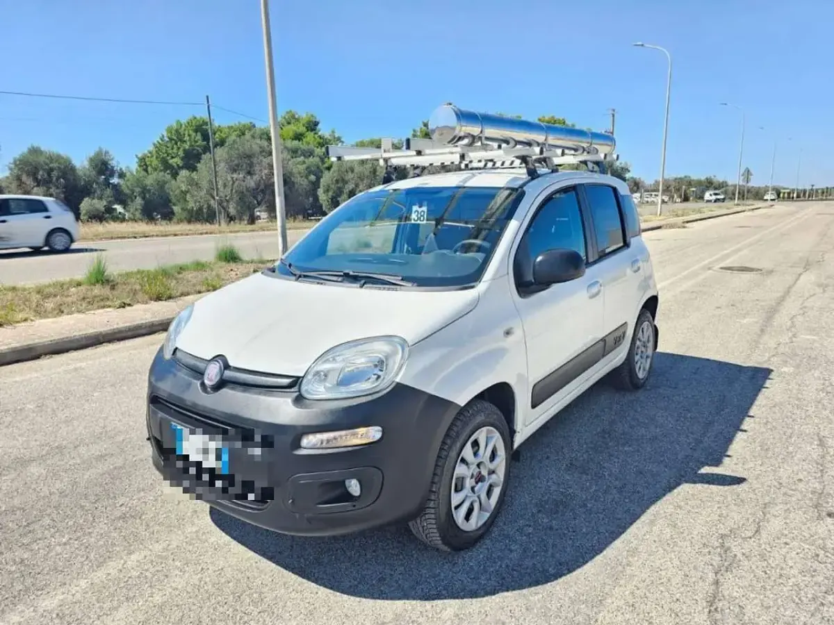 Usata Fiat Panda 4x4 Climbing 75 CV (55 kW) 2014 Bianco Utilitaria