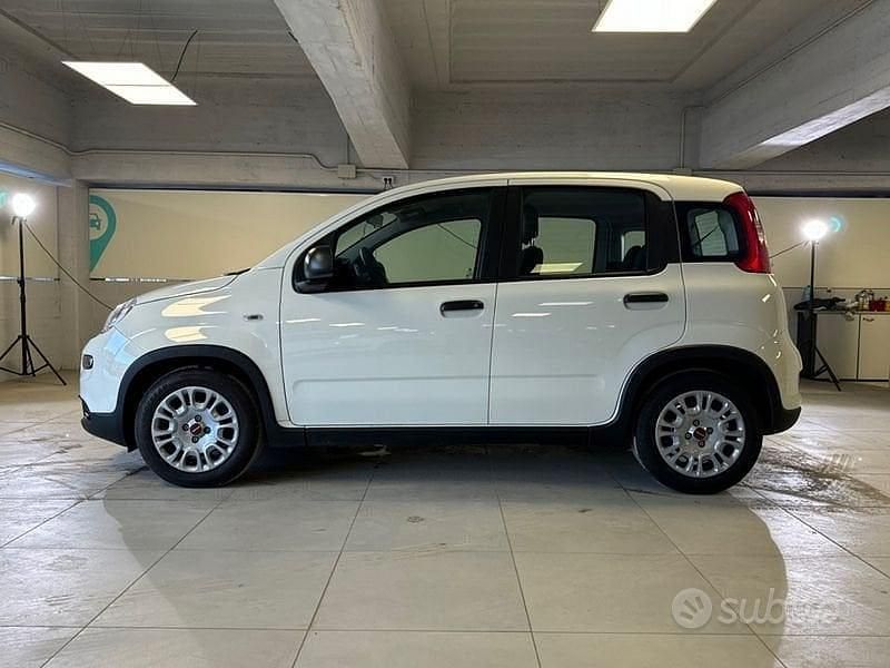 Usata Fiat Panda S 70 CV (51 kW) 2024 Bianco Utilitaria