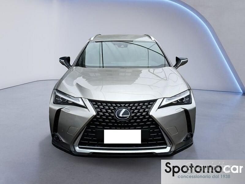 Usata Lexus UX Luxury Line 183 CV (134 kW) 2019 Grigio SUV