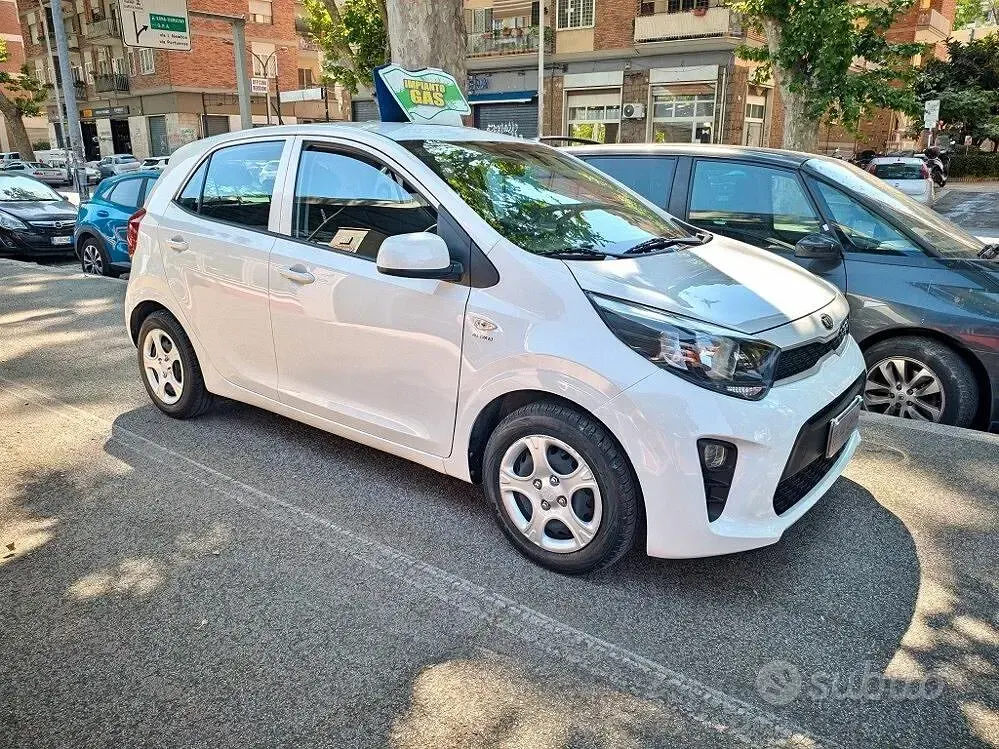 Usata Kia Picanto 65 CV (47 kW) 2020 Bianco Utilitaria