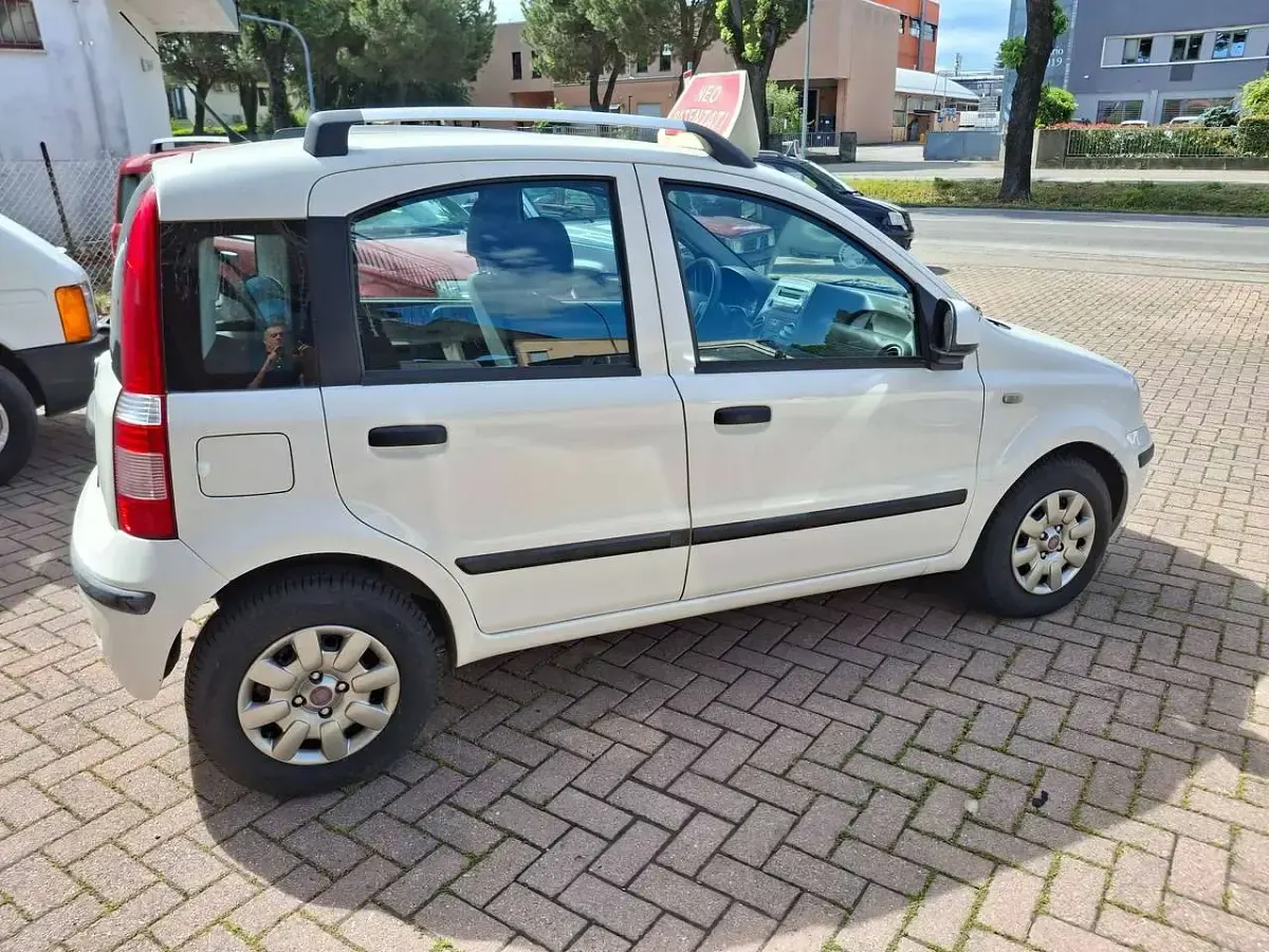 Usata Fiat Panda Dynamic 60 CV (44 kW) 2010 Bianco Utilitaria