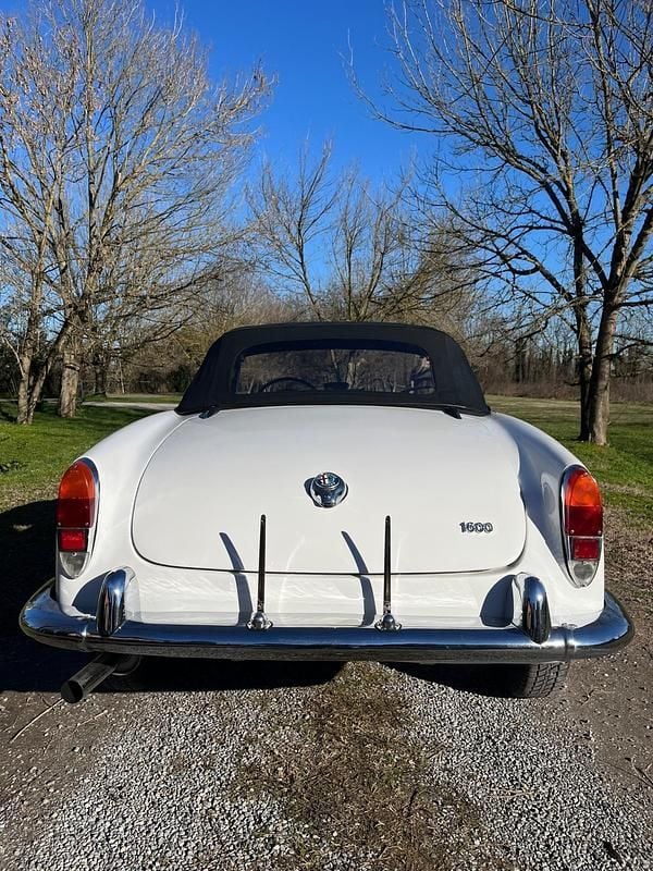Usata Alfa Romeo Giulia Spider 92 CV (67 kW) 1964 Bianco Cabrio