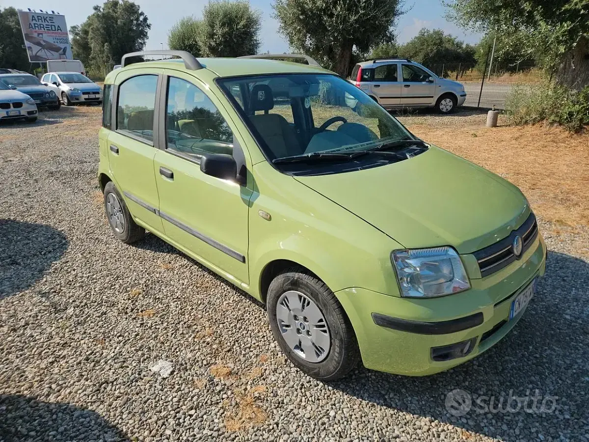 Usata Fiat Panda Dynamic 60 CV (44 kW) 2005 Verde Utilitaria