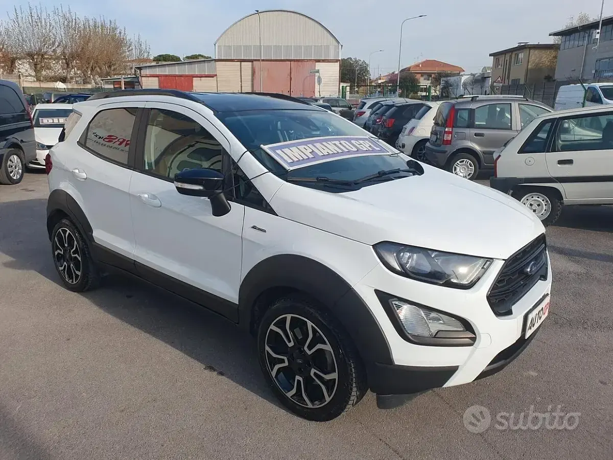Usata Ford Ecosport Active 125 CV (91 kW) 2022 Bianco SUV