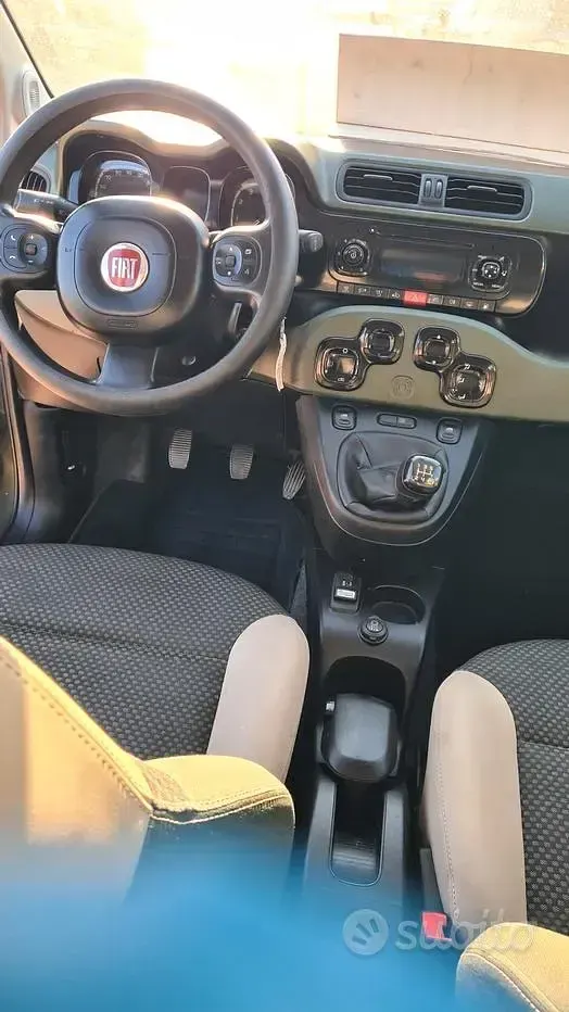 Usata Fiat Panda 84 CV (61 kW) 2014 Verde Utilitaria