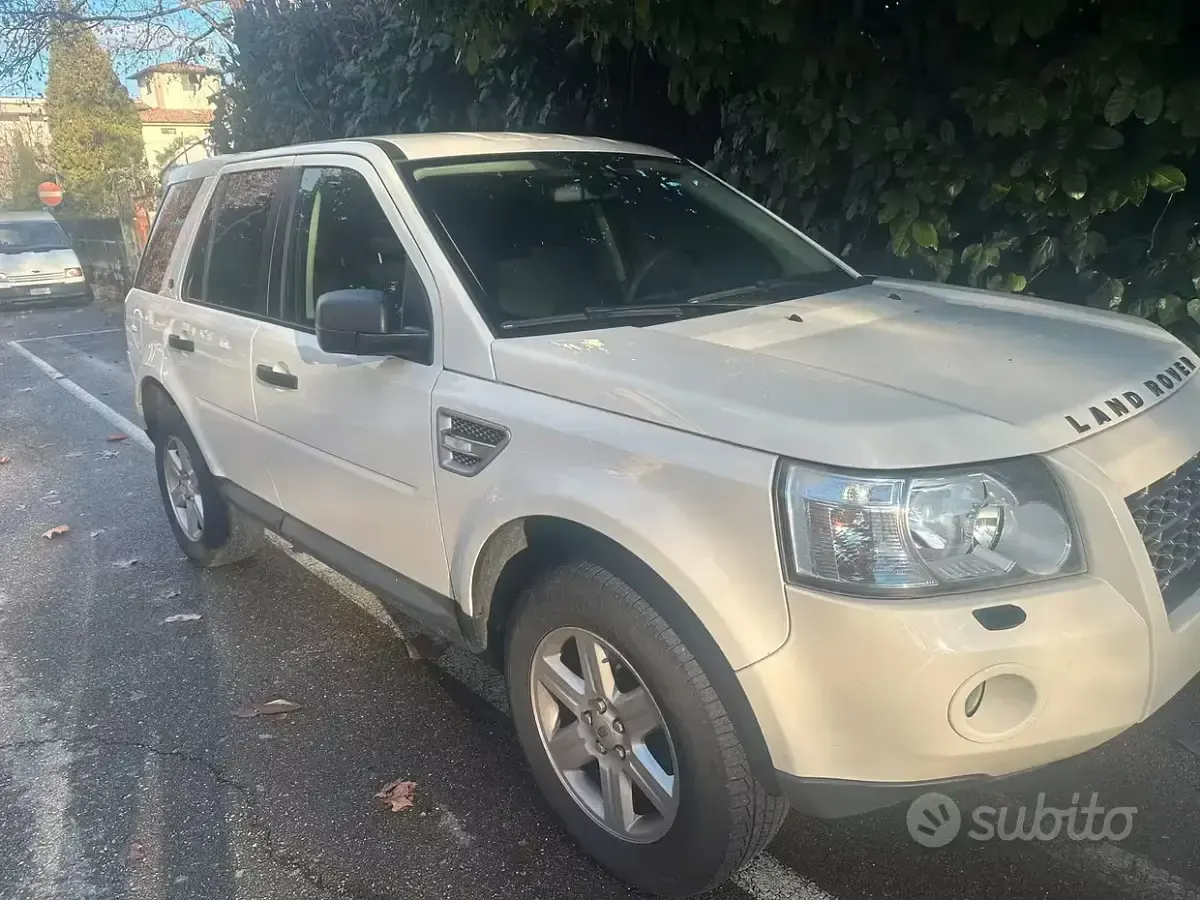 Usata Land Rover Freelander 2 160 CV (117 kW) 2009 Bianco SUV