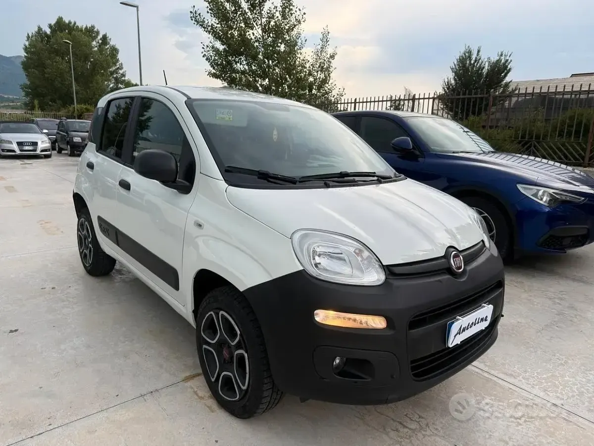 Usata Fiat Panda 4x4 86 CV (63 kW) 2021 Bianco Utilitaria