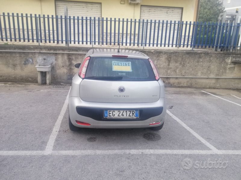 Usata Fiat Punto Evo 80 CV (58 kW) 2011 Grigio Utilitaria