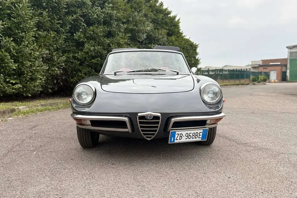 Usata Alfa Romeo Spider Veloce 113 CV (83 kW) 1969 Grigio Cabrio