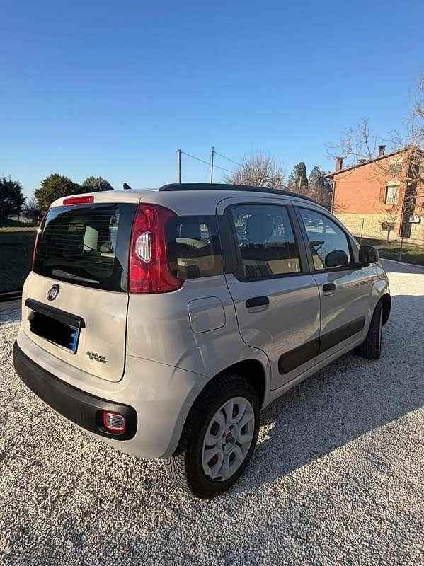 Usata Fiat Panda 60 CV (44 kW) 2014 Utilitaria