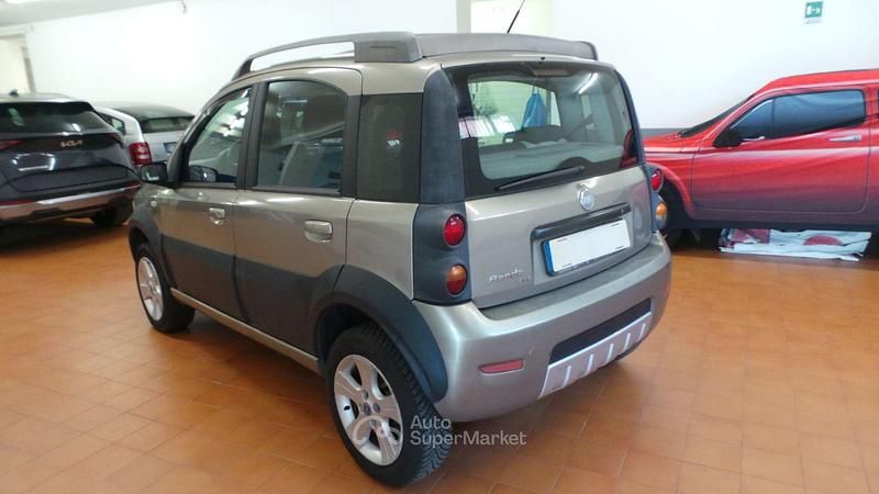 Usata Fiat Panda Cross Cross 69 CV (50 kW) 2007 Bronze Utilitaria