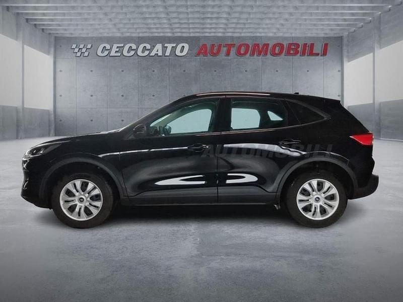 Usata Ford Kuga Titanium X 150 CV (110 kW) 2024 Nero SUV