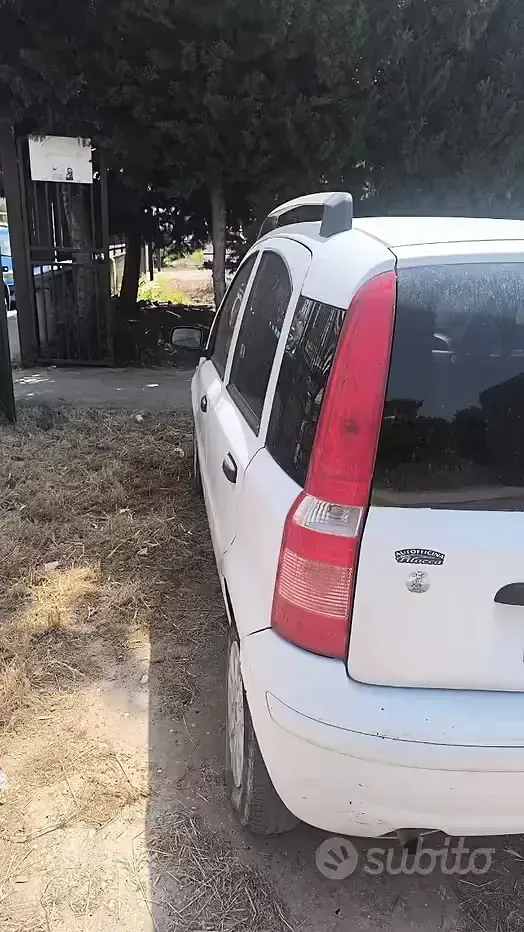Usata Fiat Panda 2009 Utilitaria