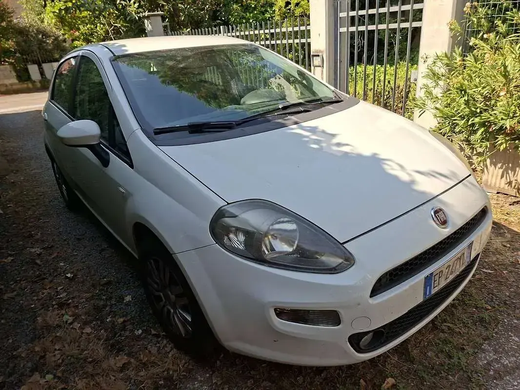 Usata Fiat Grande Punto 75 CV (55 kW) 2013 Bianco Utilitaria