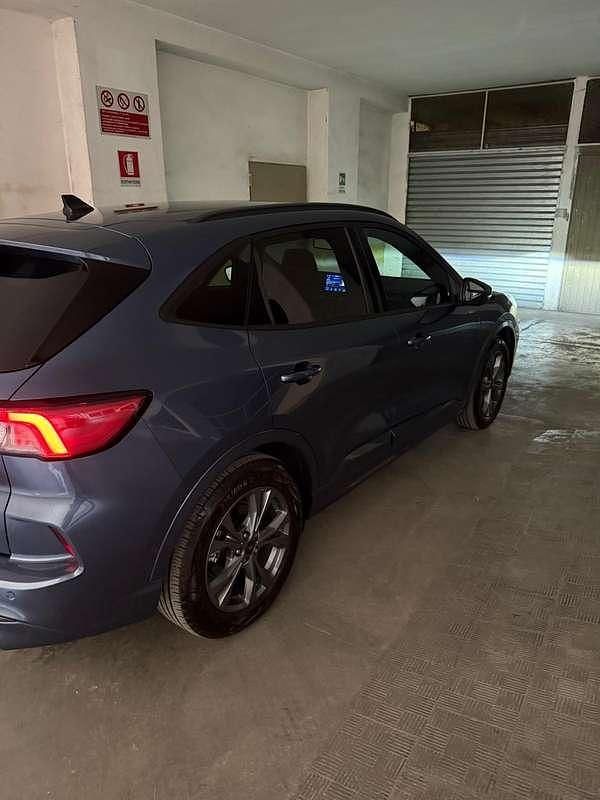 Usata Ford Kuga ST-Line 152 CV (111 kW) 2024 Blu/azzurro SUV