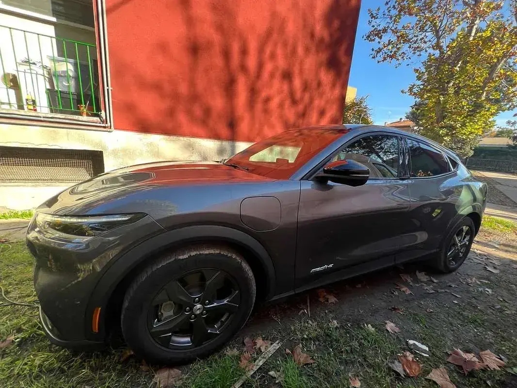 Usata Ford Mustang Mach-E Standard Range 100 kW (136 CV) 2024 SUV