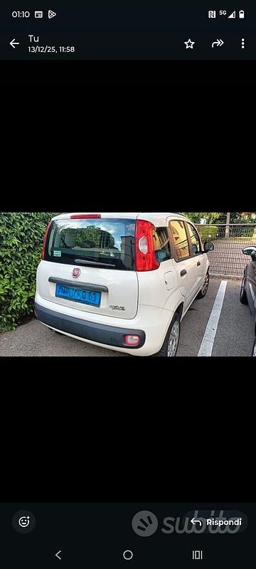 Usata Fiat Panda Easy 80 CV (58 kW) 2012 Bianco Utilitaria