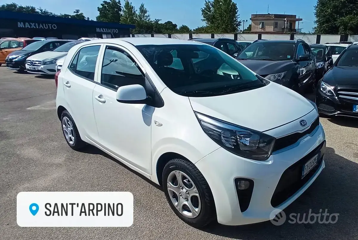 Usata Kia Picanto 67 CV (49 kW) 2020 Bianco Utilitaria