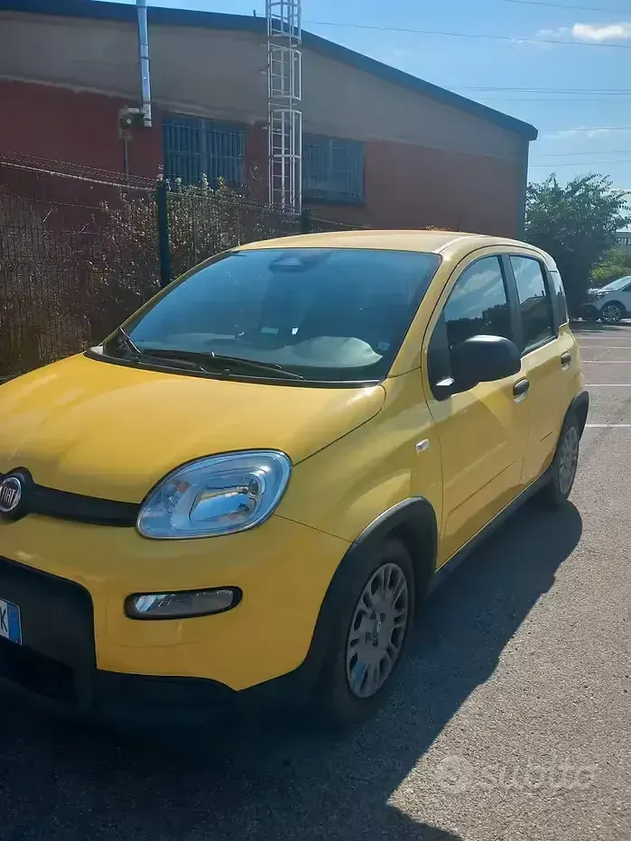 Usata Fiat Panda 65 CV (47 kW) 2024 Giallo Utilitaria