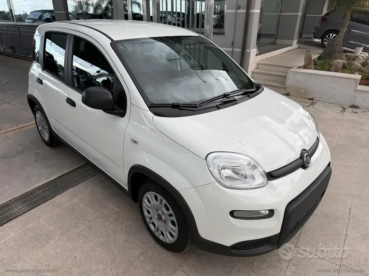Usata Fiat Panda S 70 CV (51 kW) 2023 Bianco Utilitaria