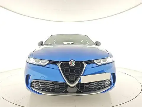 Usata Alfa Romeo Tonale Ti 160 CV (117 kW) 2023 Blu SUV