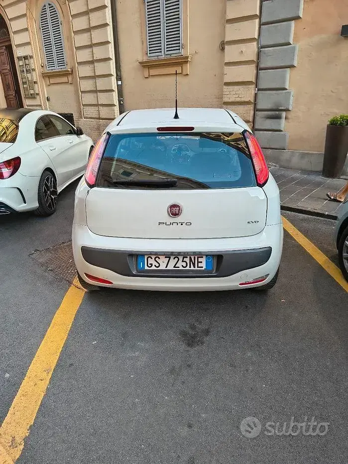 Usata Fiat Punto Evo 75 CV (55 kW) 2010 Bianco Utilitaria