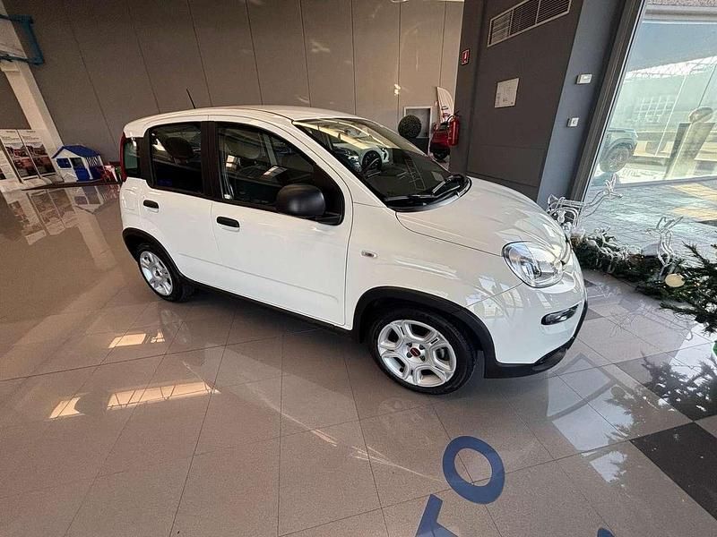Usata Fiat Panda Cross Cross 69 CV (50 kW) 2024 Bianco Utilitaria