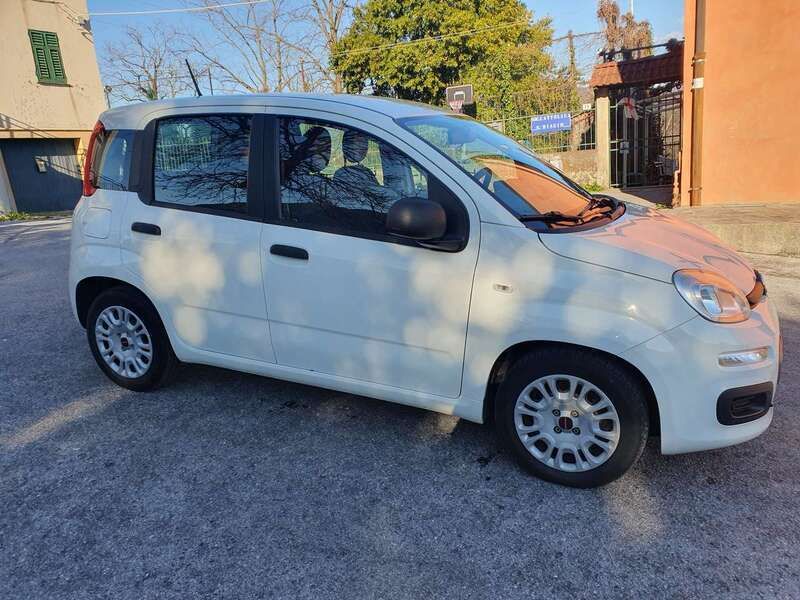 Usata Fiat Panda Easy 69 CV (50 kW) 2020 Bianco Utilitaria