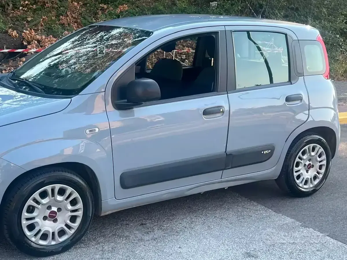 Usata Fiat Panda 69 CV (50 kW) 2017 Grigio Utilitaria