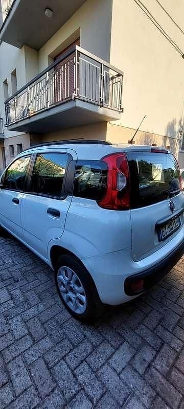 Usata Fiat Panda Young 80 CV (58 kW) 2015 Bianco Utilitaria