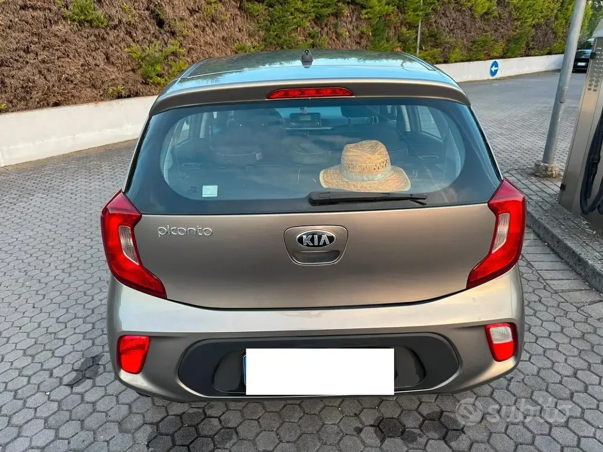 Usata Kia Picanto X-Line 67 CV (49 kW) 2019 Grigio Utilitaria