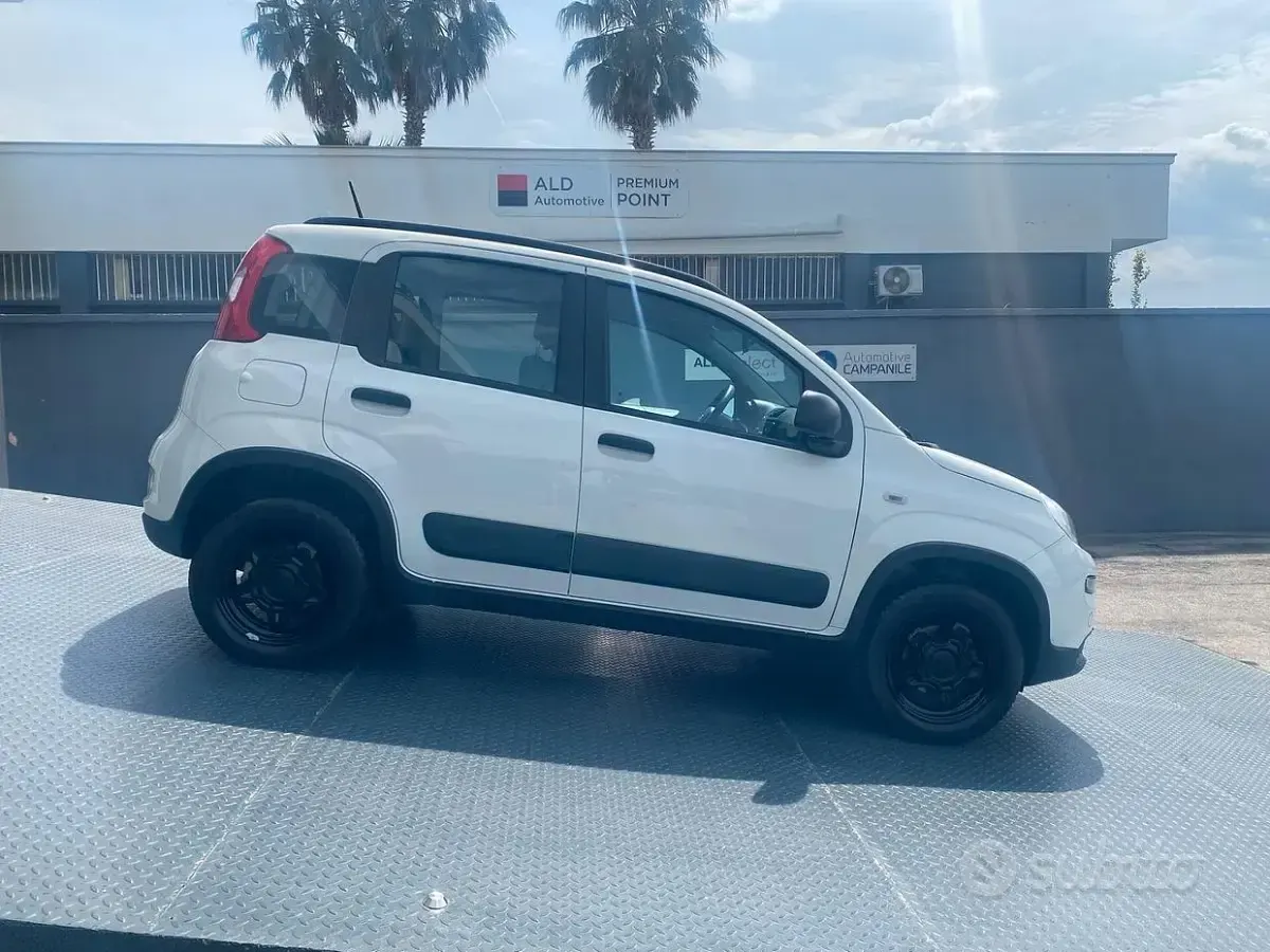 Usata Fiat Panda 4x4 Wild 86 CV (63 kW) 2021 Bianco Utilitaria