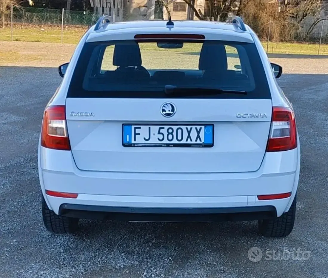 Usata Skoda Octavia Active 116 CV (85 kW) 2017 Bianco Berlina