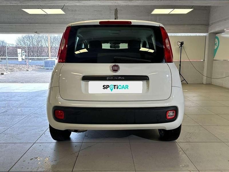Usata Fiat Panda Easy 69 CV (50 kW) 2020 Bianco Berlina