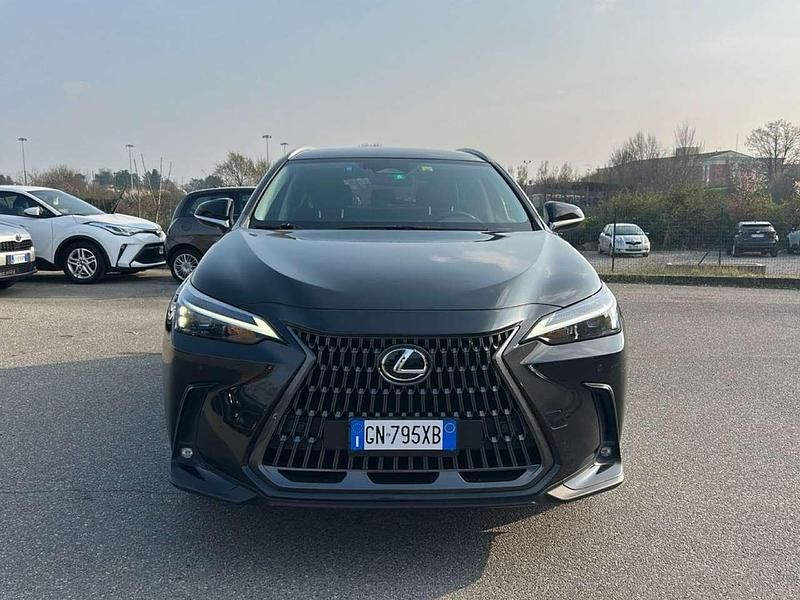 Usata Lexus NX300 243 CV (178 kW) 2023 Other SUV