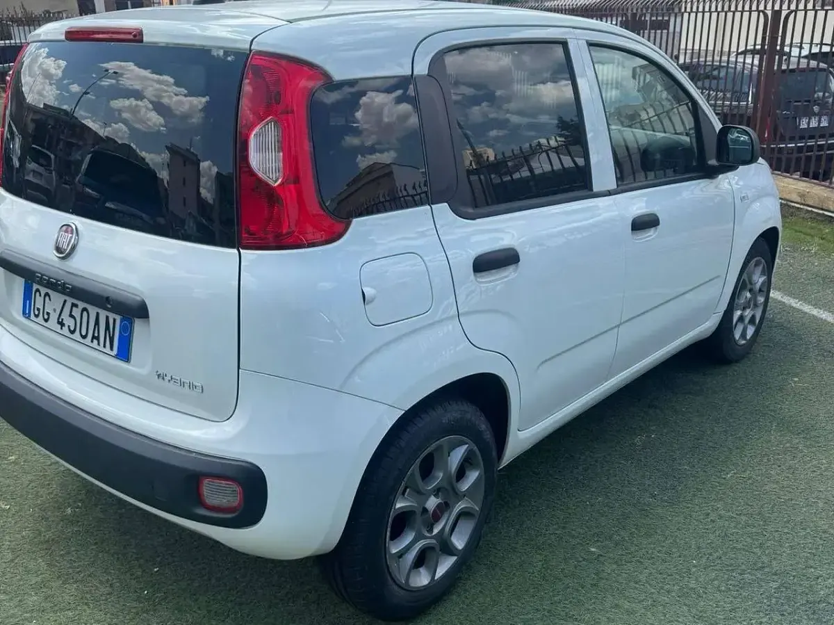 Usata Fiat Panda Active 69 CV (50 kW) 2021 Bianco Utilitaria