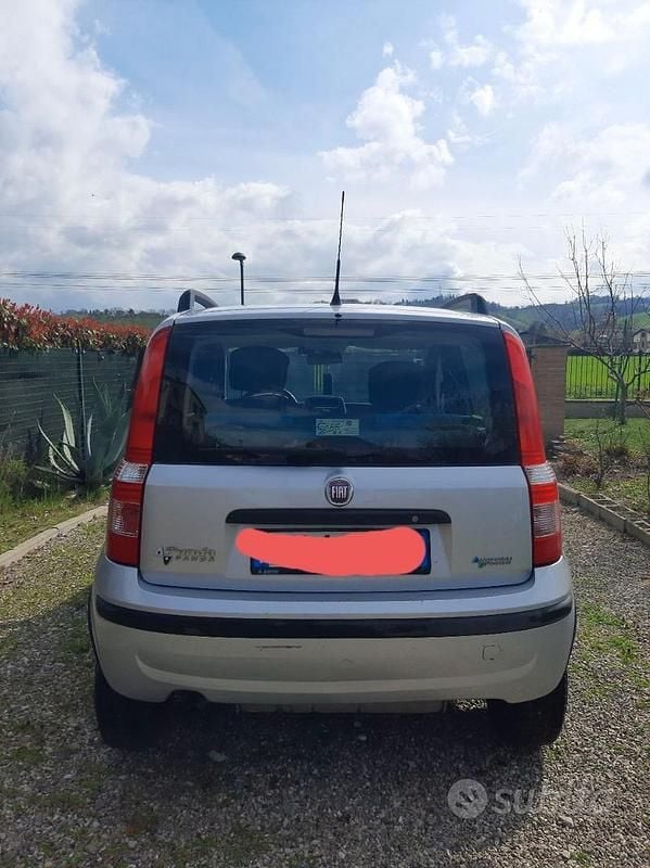 Usata Fiat Panda 77 CV (56 kW) 2009 Utilitaria