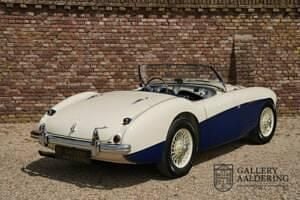 Usata Austin Healey 100 90 CV (66 kW) 1954 Bianco Cabrio