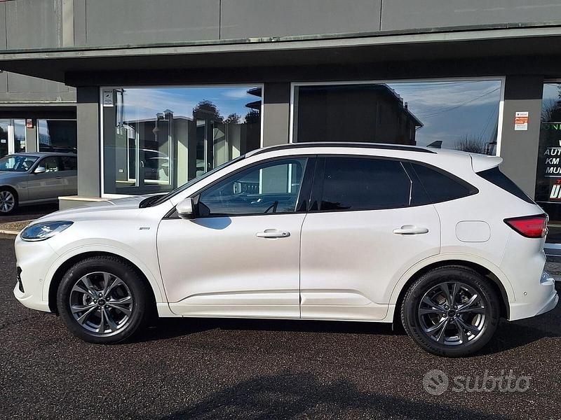Usata Ford Kuga ST-Line X 120 CV (88 kW) 2020 Bianco SUV