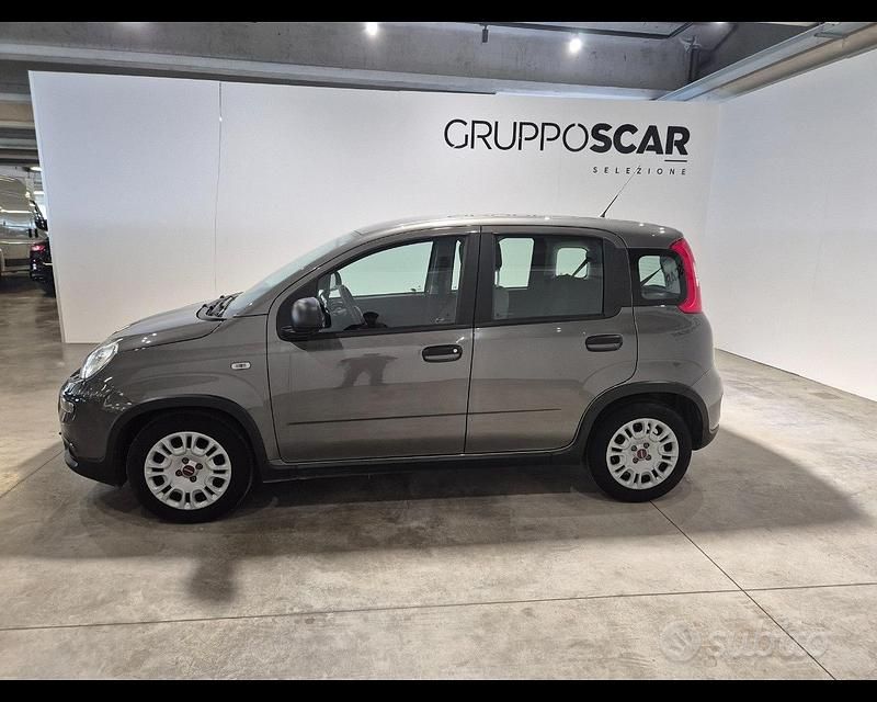 Usata Fiat Panda S 70 CV (51 kW) 2022 Grigio Utilitaria