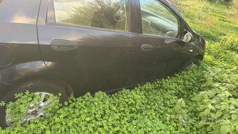 Usata Fiat Punto 2009 Blu Berlina