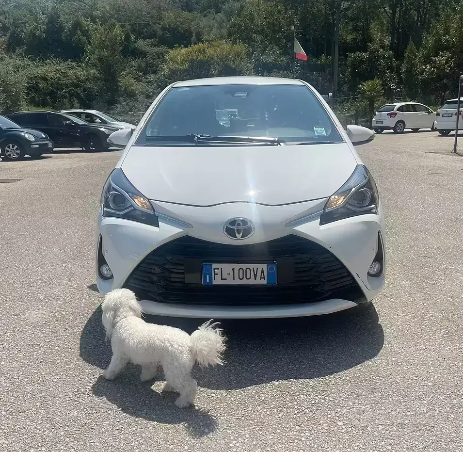 Usata Toyota Yaris Cool 69 CV (50 kW) 2017 Bianco Berlina