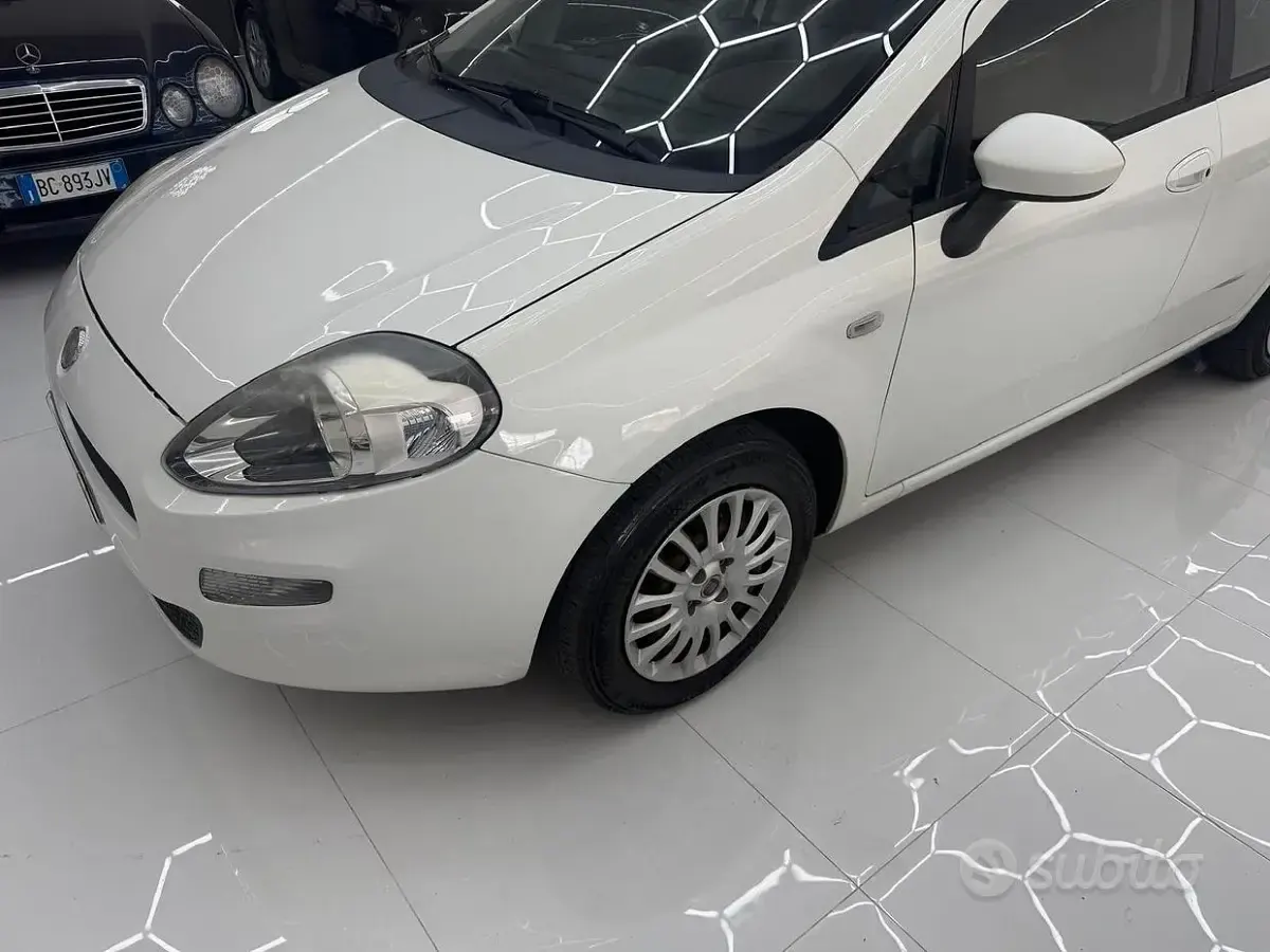Usata Fiat Punto Lounge 69 CV (50 kW) 2014 Bianco Utilitaria