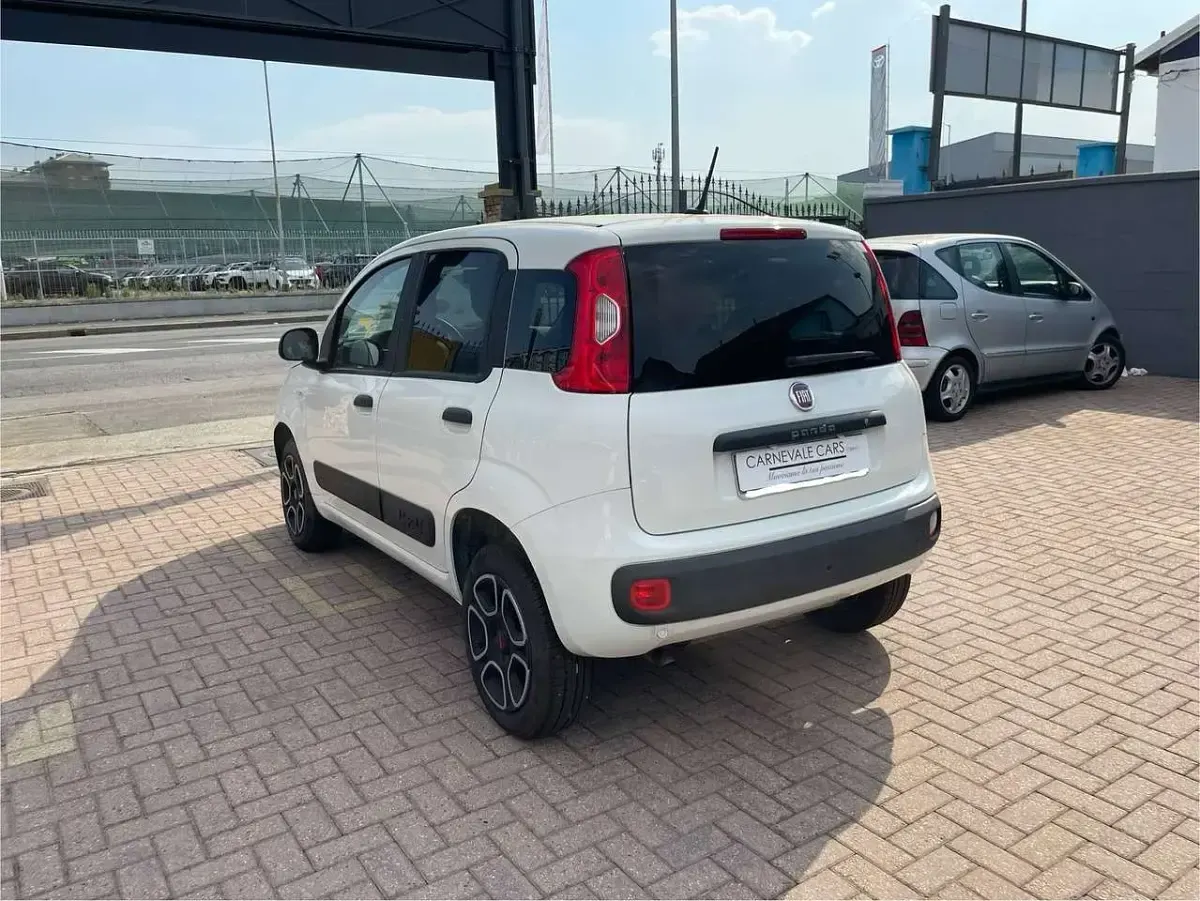 Usata Fiat Panda 4x4 S 69 CV (50 kW) 2023 Bianco Utilitaria