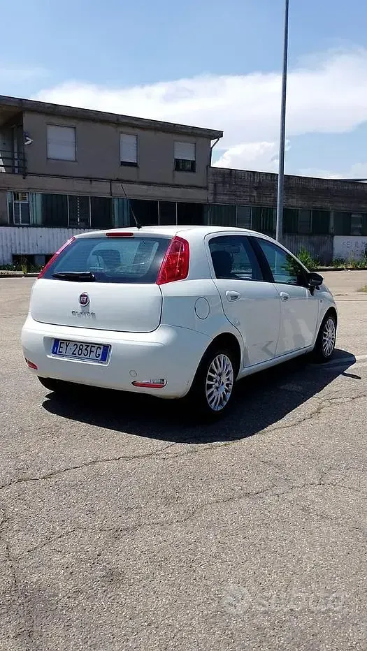 Usata Fiat Punto Evo 75 CV (55 kW) 2015 Bianco Utilitaria