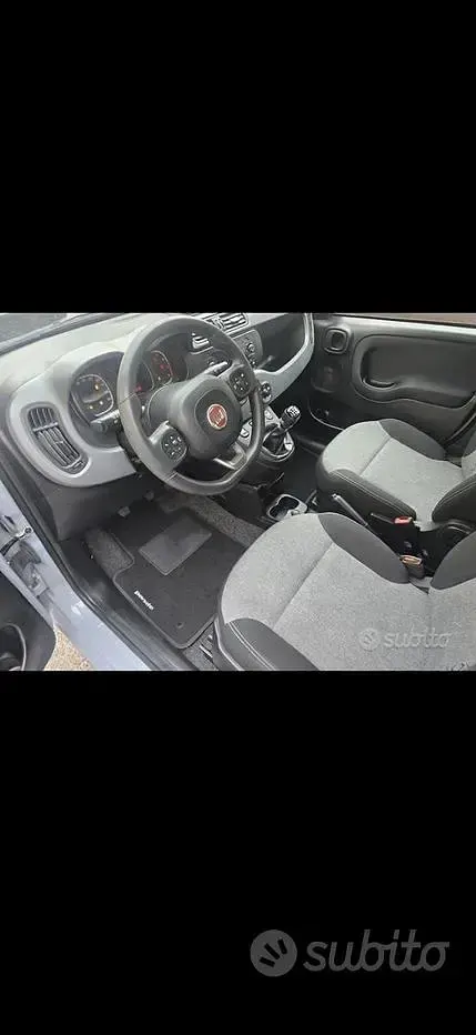 Usata Fiat Panda 69 CV (50 kW) 2020 Grigio Utilitaria