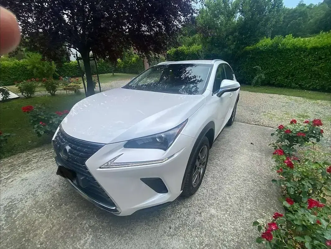Usata Lexus NX300h Business Edition 155 CV (114 kW) 2020 Bianco SUV