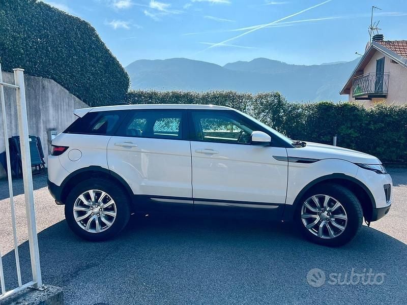 Usata Land Rover Range Rover evoque Pure 241 CV (177 kW) 2016 Bianco SUV
