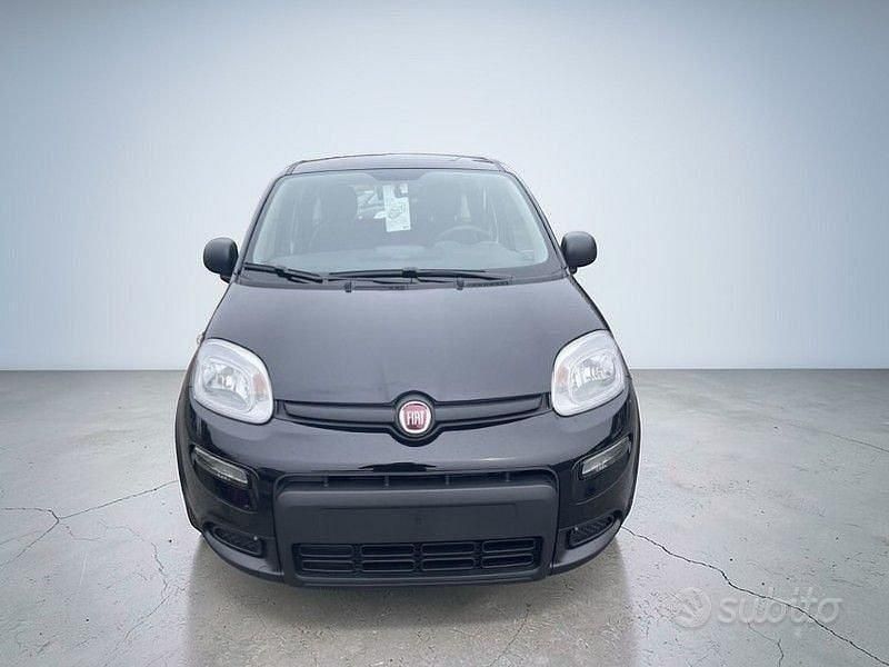 Usata Fiat Panda S 70 CV (51 kW) 2024 Nero Utilitaria