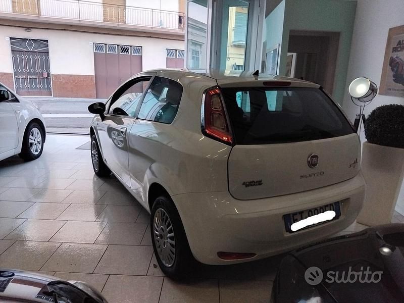 Usata Fiat Punto Lounge 69 CV (50 kW) 2013 Bianco Utilitaria